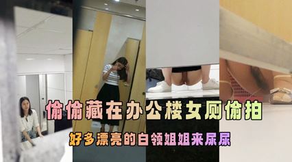 厕所偷拍合集公司极品厕拍—写字楼办公的年轻女白领 尿尿特写 封面