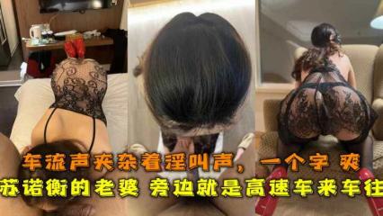 苏诺衡的老婆旁边就是高速车来车往,车流声夹杂着淫叫声一个字爽 封面