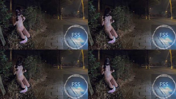 推特網紅 FSS 馮珊珊 戶外露出福利 20母犬被路人撿走