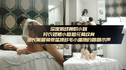用力抽插深夜激战兼职小妹 衬衣短裙小姐姐 操的啪啪水声 封面