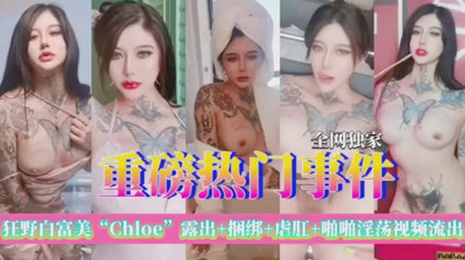 狂野白富美chloe极品尤物露出虐肛啪啪流出 封面