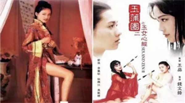 舒淇主演玉蒲团之玉女心经 封面