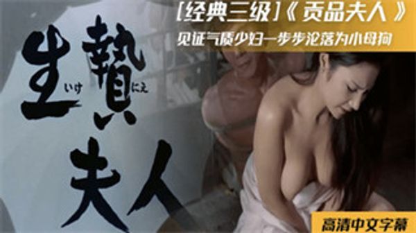 经典三级片-贡品夫人 封面