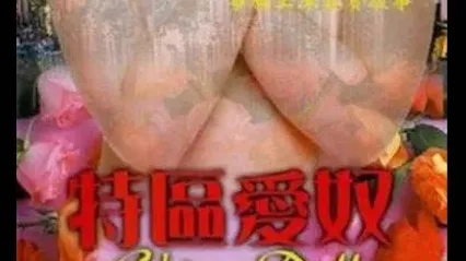 香港三级片特区爱奴 叶子楣 封面