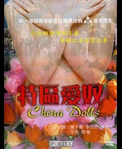 香港三级片特区爱奴 叶子楣 封面