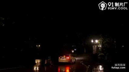 91CM201私人玩物 陆雪琪 封面