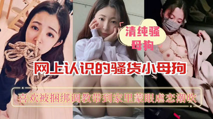 独家流出 网上认识的骚货小母狗喜欢被捆绑后入操的太刺激了 封面