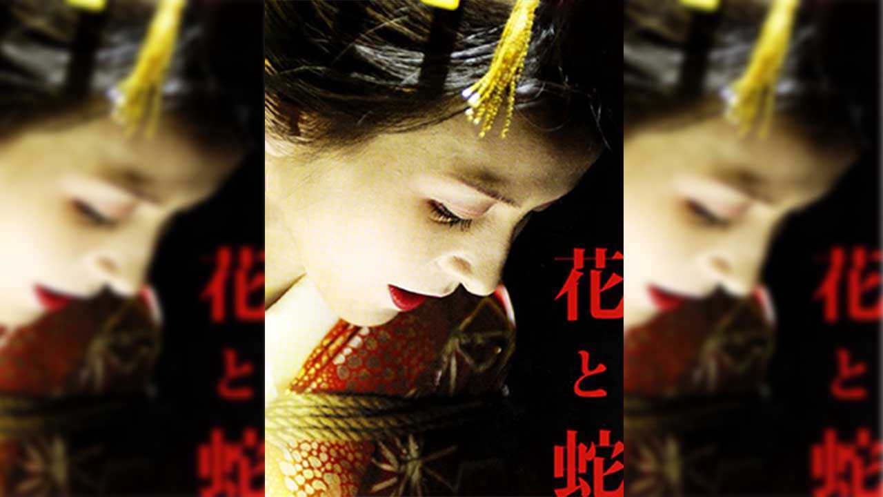 日本三级花与蛇 日语中字