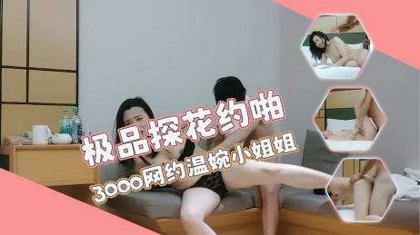 极品探花约啪3000网约温婉小姐姐，彼此都很着急 直接开啪，一开始就快速抽插直到射精