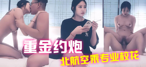 赵总探花 重金约炮史上最高质量女主 北航空乘专业校花，温柔细致口交 摸乳后入冲刺插抽撞击 封面