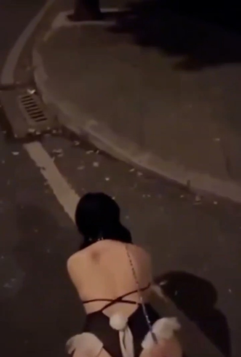 河南郑州大学巨乳大学生 姚凯宣 被金主爸爸包养当性奴母狗 在校园牵链当狗遛 室外露出 完成主人各种指示任务 视频外流泄密 封面