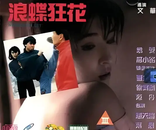 浪蝶狂花 国语中字 邢小路 叶晨 封面