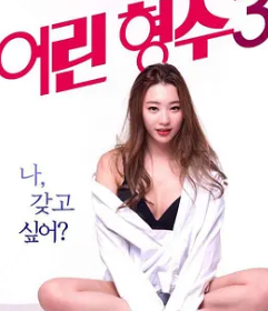 年轻的嫂子3 韩语中字 金仁爱 封面