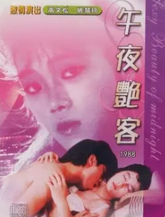午夜艳客1988 国语无字幕 姚慧玲 丽英 封面