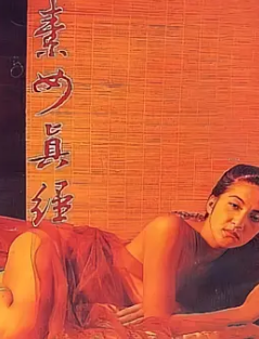素女经之挑情宝鉴1992 粤语中字 童玲 封面