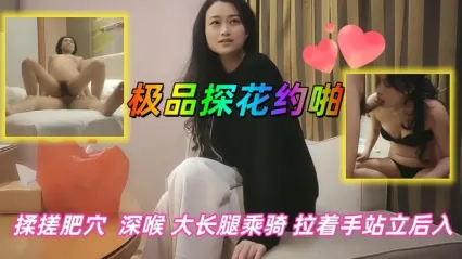 极品探花 约啪风骚长腿熟女，沙发上调情边抠逼边深喉口交 抓住双手后入疯狂抽插骚逼 都把美女给操累了 封面