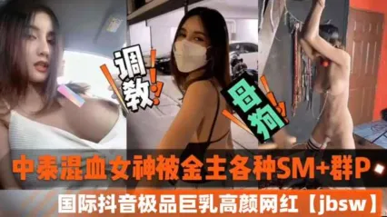 抖音中泰混血巨乳网红 jbsw 被金主各种SM调教成性奴母狗 群P后入轮番狠狠抽插狂操视频惨遭泄密流出 封面