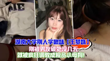湖南大学校花美女 王梦姝 成年后被男友破处没几天就被调教成极品风骚小母狗 视频内风骚姿态惨遭泄密流出 封面