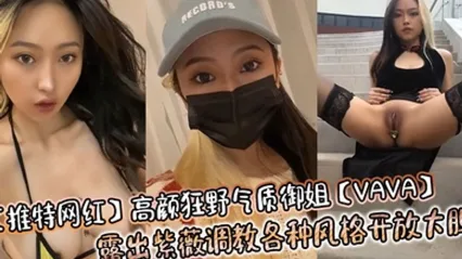 推特网红高颜狂野气质御姐VAVA露出紫薇调教各种风格开放大胆 全集 封面