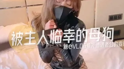 超人气美少女糖心up意外遭老公的查岗被主人幸临调教的小母狗 全集 封面