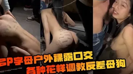 多P字母户外裸露口交各种花样调教反差母狗 全集 封面