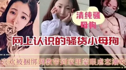 重磅推荐网上认识的骚货小母狗喜欢被捆绑蒙眼调教_ 全集 封面
