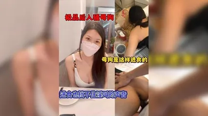 极品后入骚母狗 封面