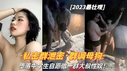 『私密群泄密·群调母狗』堕落学生 封面