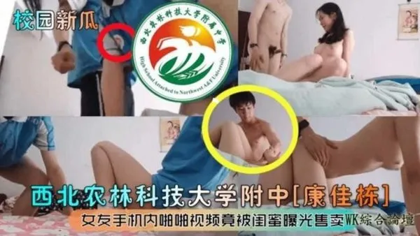 炸裂校园大瓜西北科技大学附中，女友的手机内啪啪视颇竟然被闺蜜曝光售卖