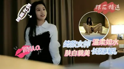 网约极品纯欲女神，肤白貌美，长腿美乳，温柔似水=探花 封面