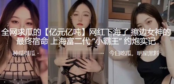 全网求瓜的_亿元亿吨_网红下海了_擦边女神的最终宿命上海富二代__小霸王__约炮实记 封面