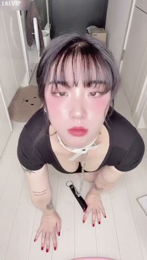 调教的极品母狗