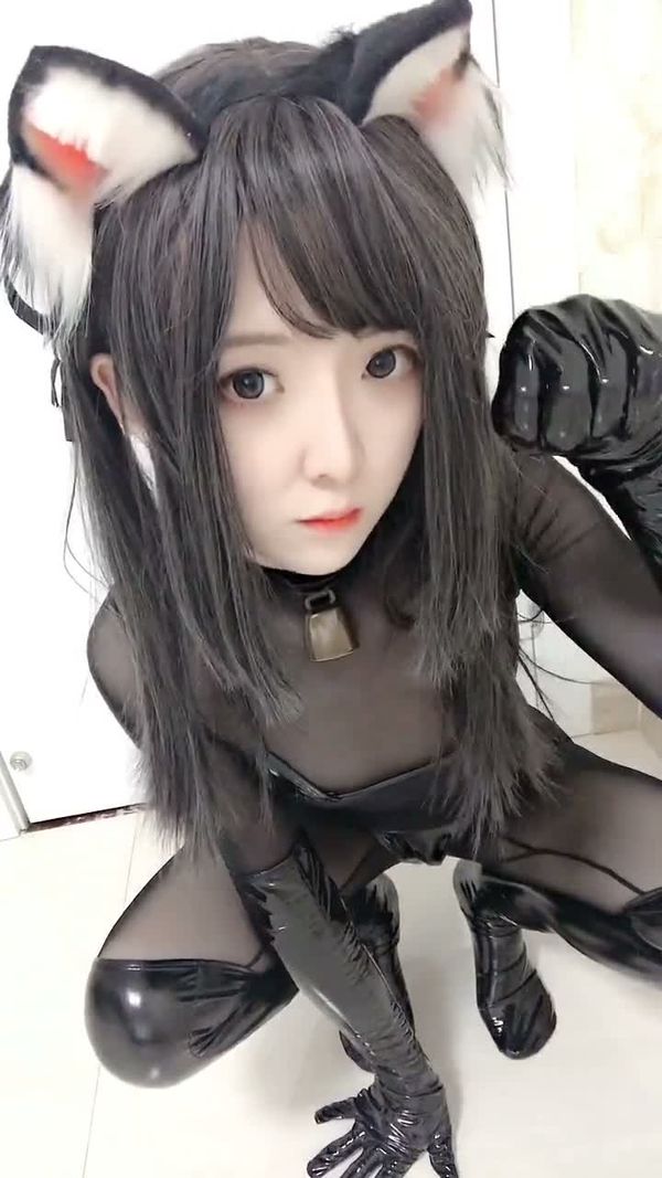 捡到的小野猫
