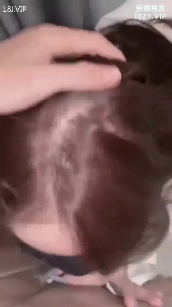 美逼骚货在沙发等操