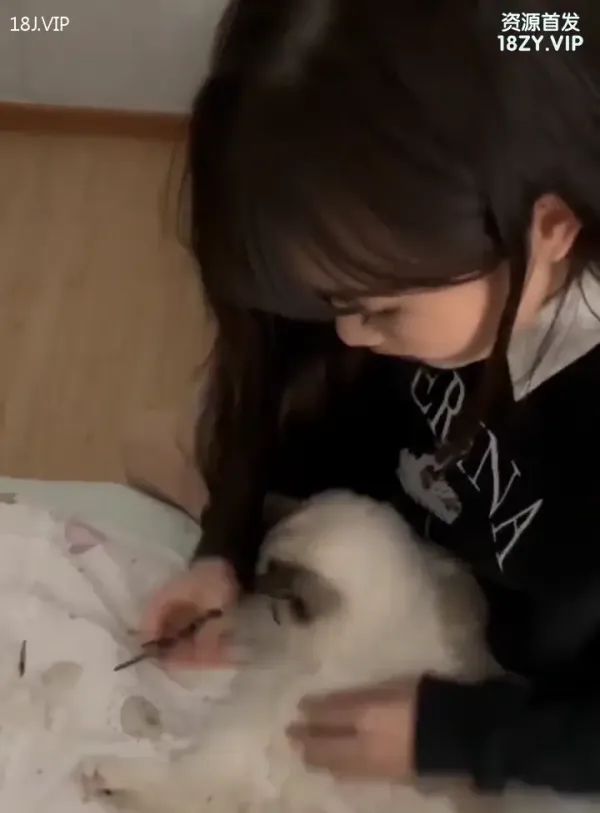 中出清纯猫咖女孩